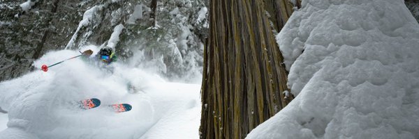 protectwintersc Profile Banner