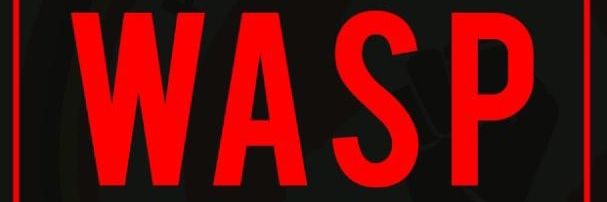 simonwasp's profile banner image