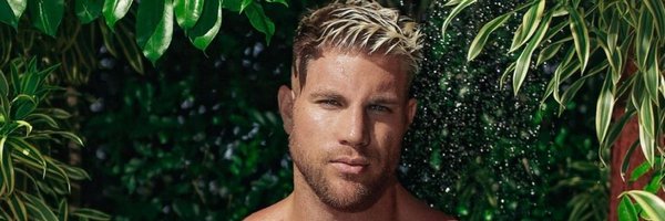 FrenchGaymer Profile Banner