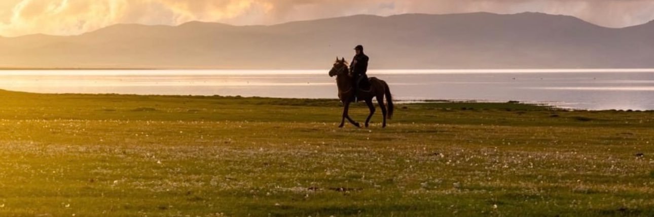 ErdalSen's profile banner image