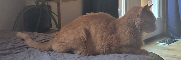 Breezesux Profile Banner