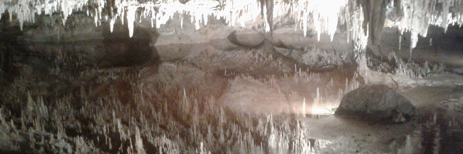 Demetrius DiMucci banner