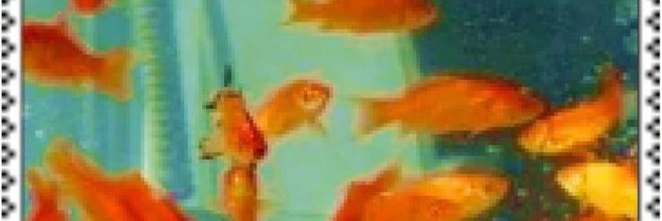 Yolanena_'s profile banner image
