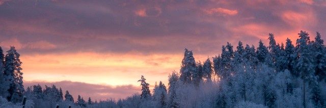 namelesskjn's profile banner image