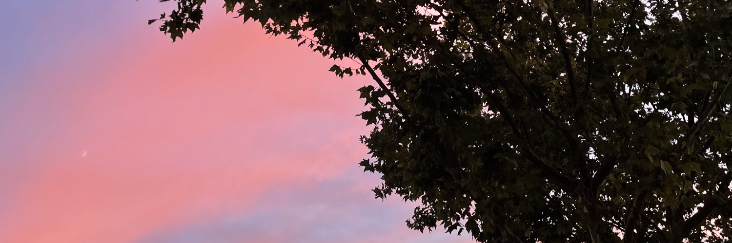 gin_xj's profile banner image