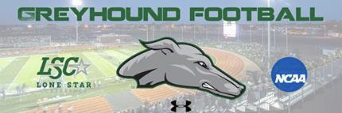 Ryan Sulpizio banner