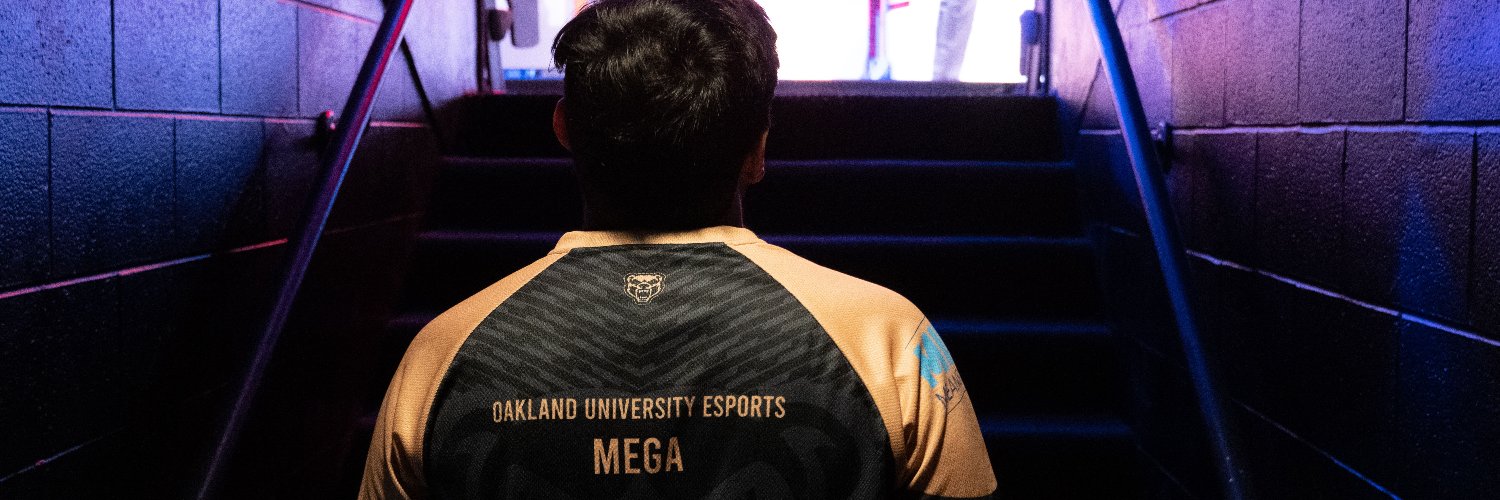 MEGA banner