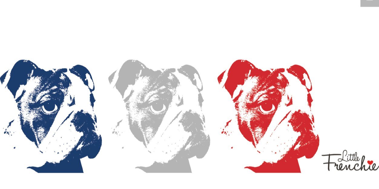 LittleFrenchie0's profile banner image
