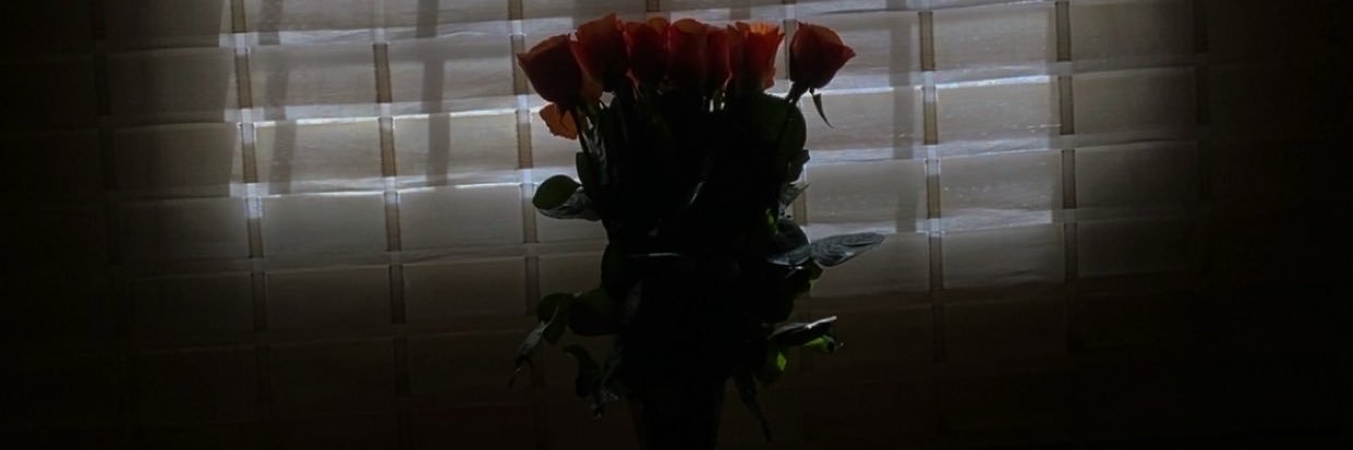 endr_s8's profile banner image