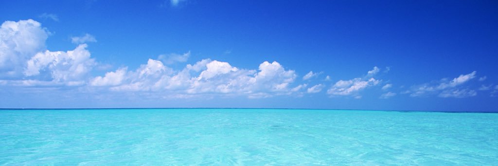 pedroloreaa's profile banner image