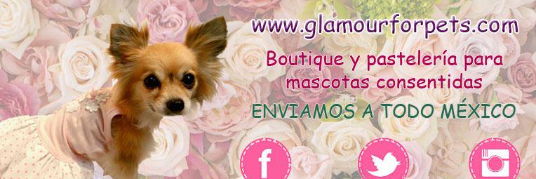 glamourforpets's profile banner image