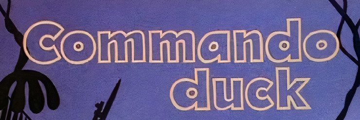Duck banner