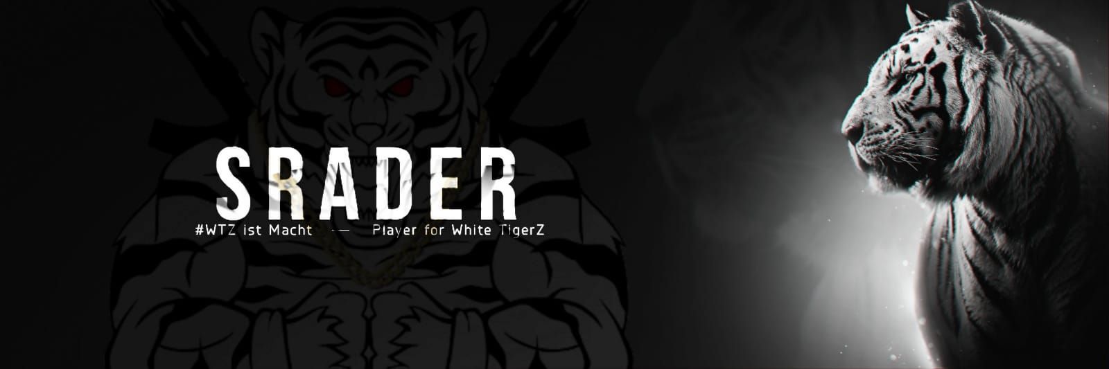 SraderWTZ's profile banner image