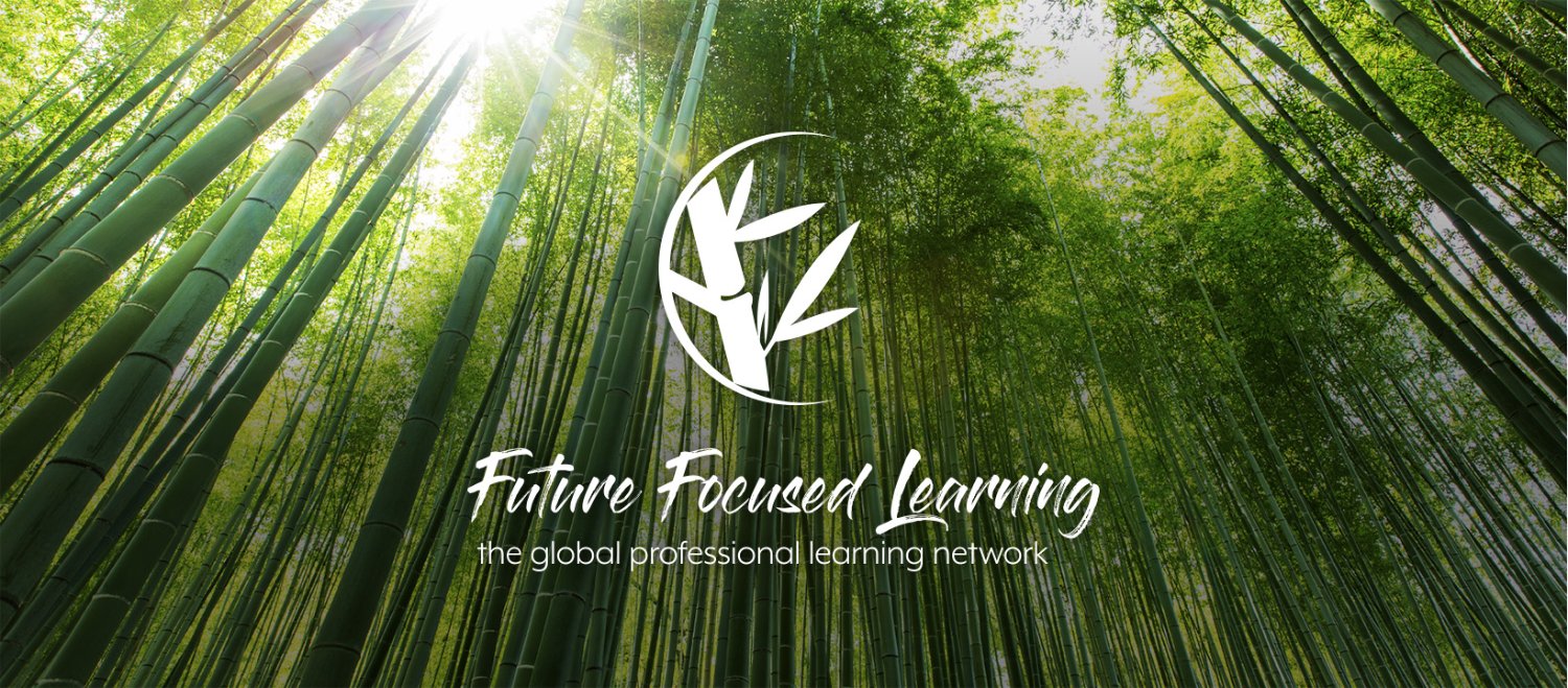 Future Focused Learning Network banner