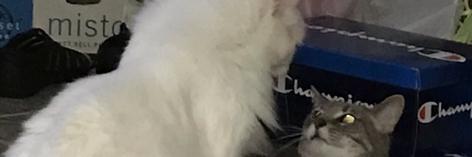 JudyOler's profile banner image