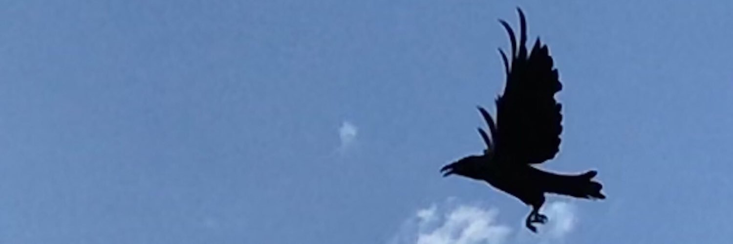 Joachim Pimento banner