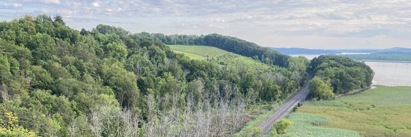 Courtney Zoffness Profile Banner