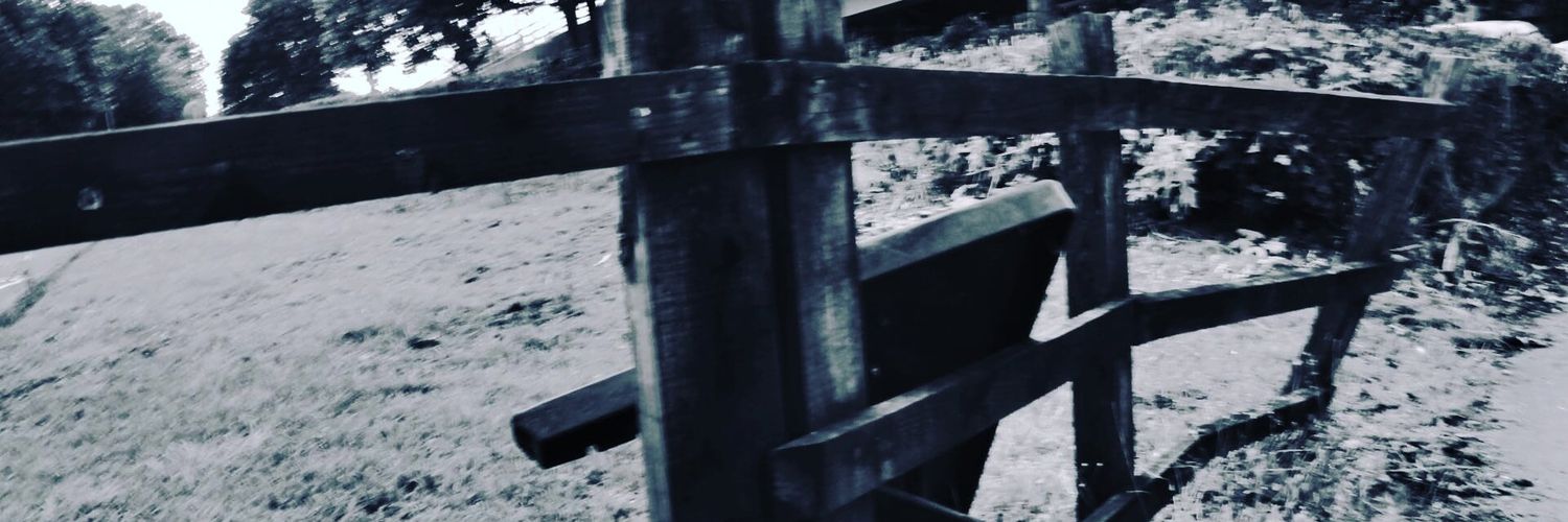 Wheeleymick's profile banner image