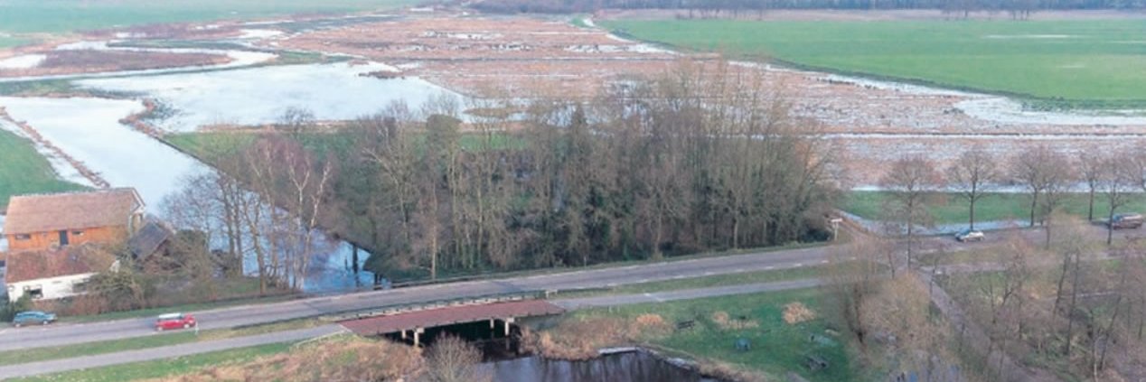 dorpdehoeve's profile banner image