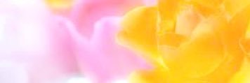 sensitivegirl18's profile banner image