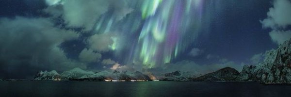 nekboa Profile Banner