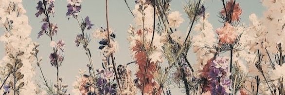 Héléna🦋 banner