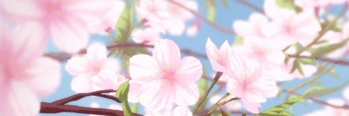dianana26 banner