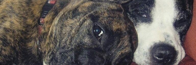 GymJamz's profile banner image