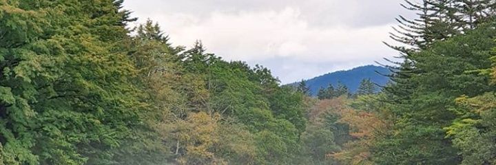 Elizarizkiani_'s profile banner image
