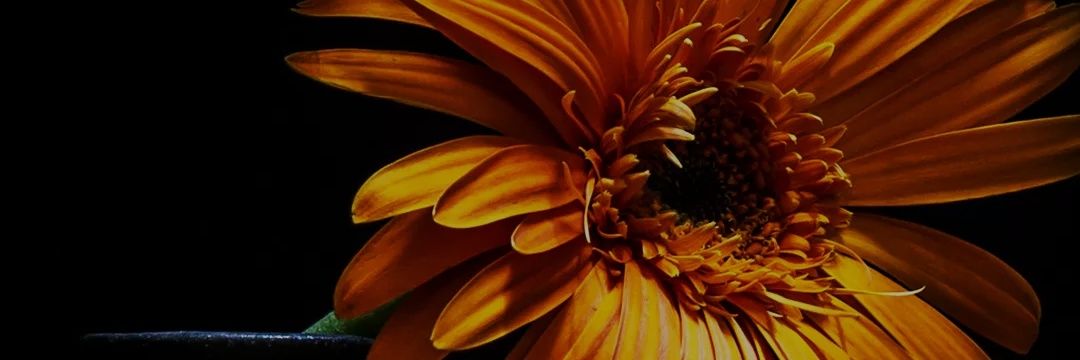 nonsosanco's profile banner image