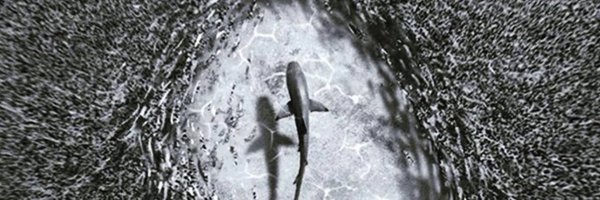 1kbuckley Profile Banner