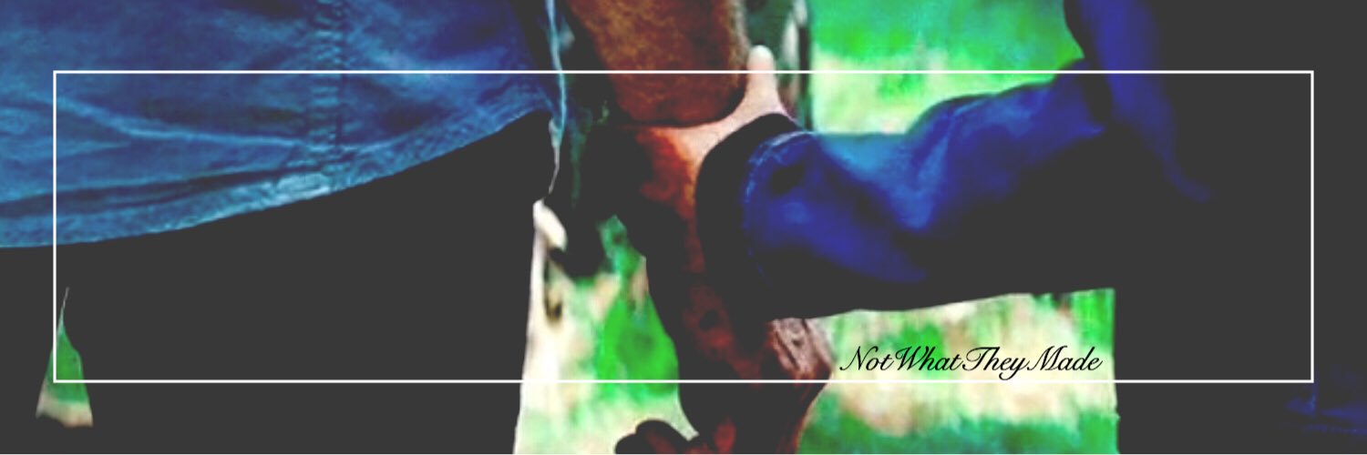 NotWhatTheyMade's profile banner image