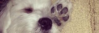 Hoorten's profile banner image