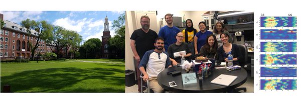 EsberLab Profile Banner