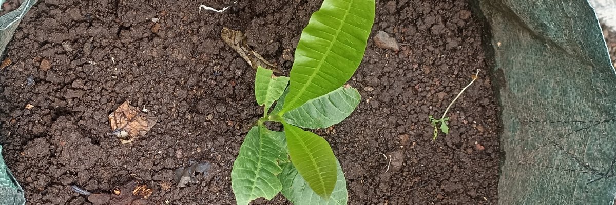 cuuwwit's profile banner image