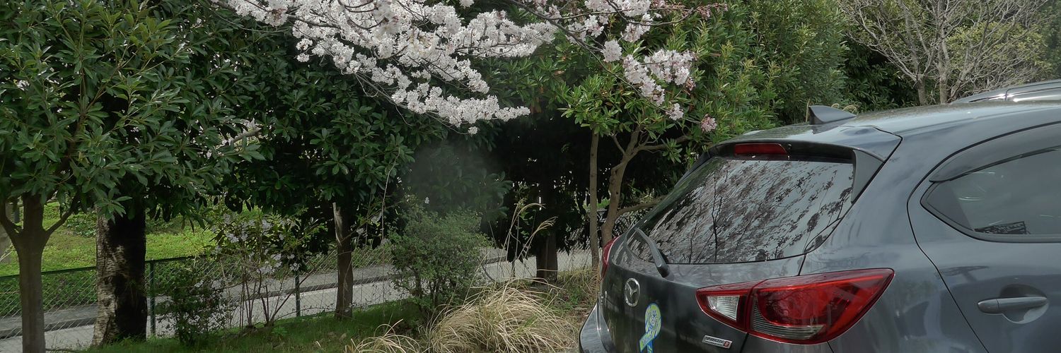 hdk2cv's profile banner image
