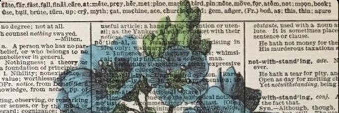 colorisa's profile banner image