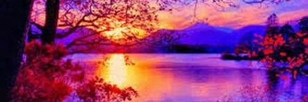 evaviego's profile banner image