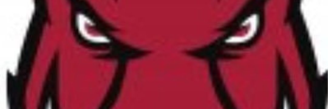 dollar_brigit's profile banner image