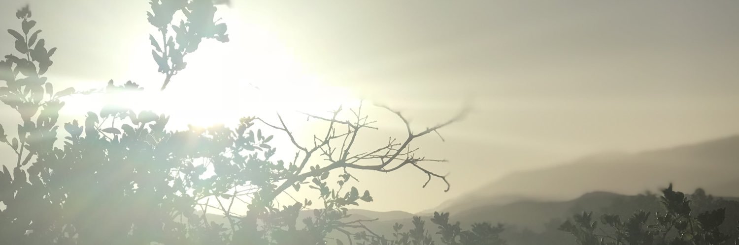 lupe_10 banner