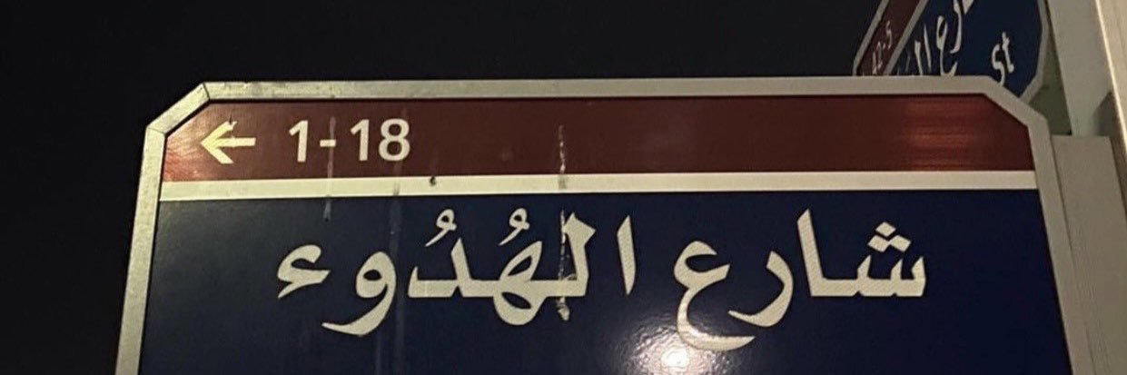 laysoez's profile banner image