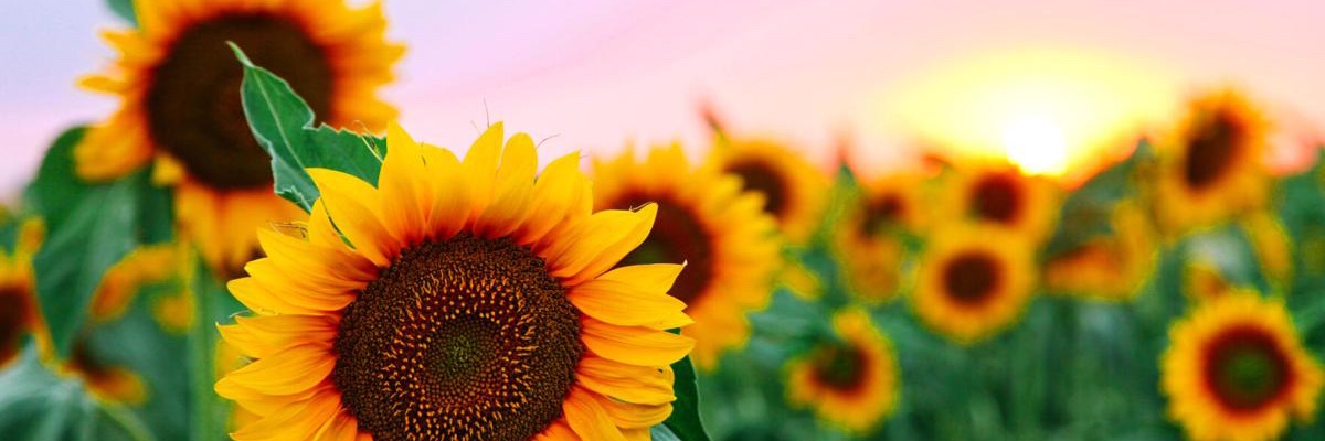 stuartmagan21's profile banner image