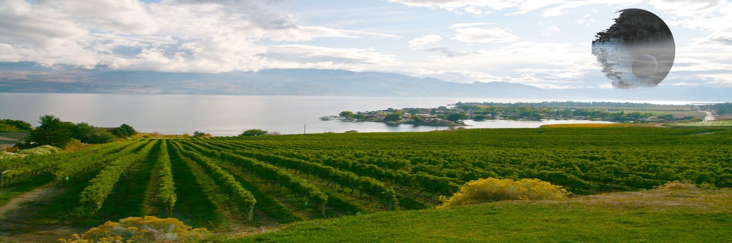 mpdonoghue's profile banner image