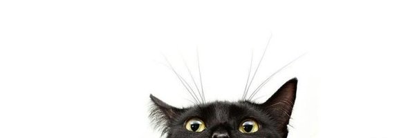 Barbaraadejesus Profile Banner