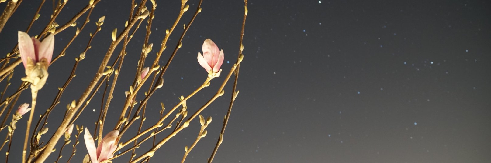NfiverX's profile banner image
