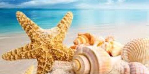 LotteVerschoor's profile banner image