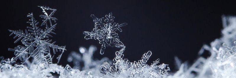 Colt_Ori's profile banner image