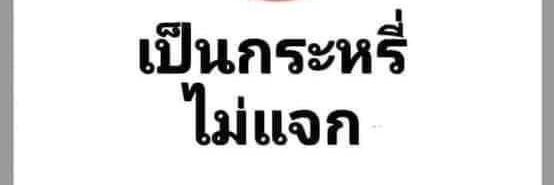 เมี๊ยวๆ banner