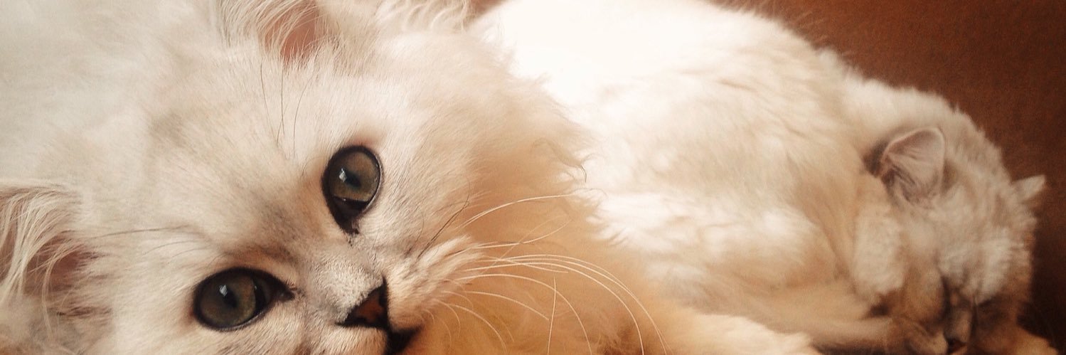 deniz_es's profile banner image