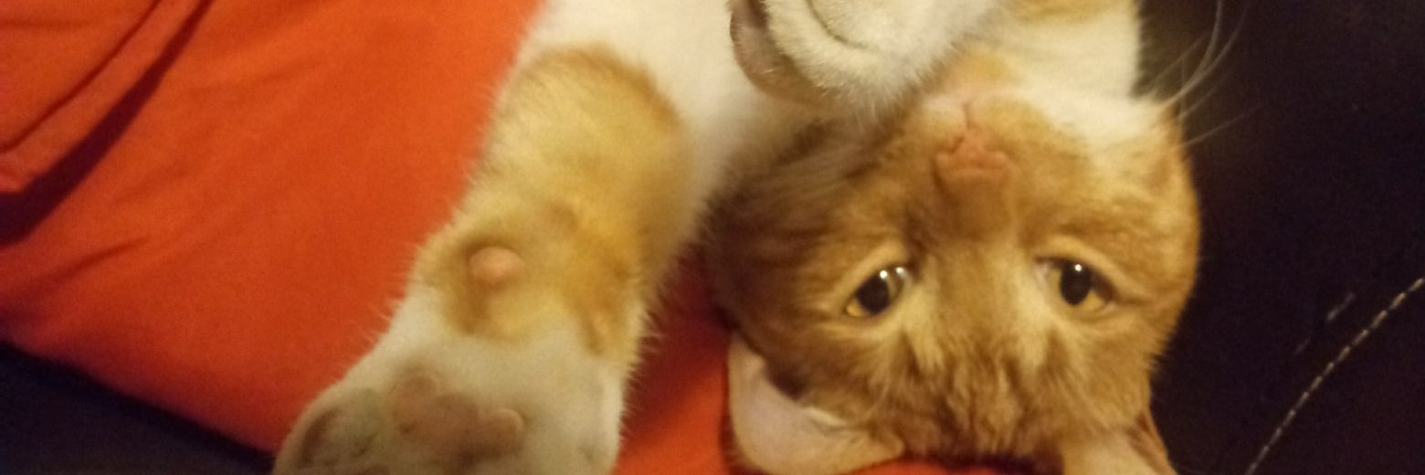 Biby70's profile banner image